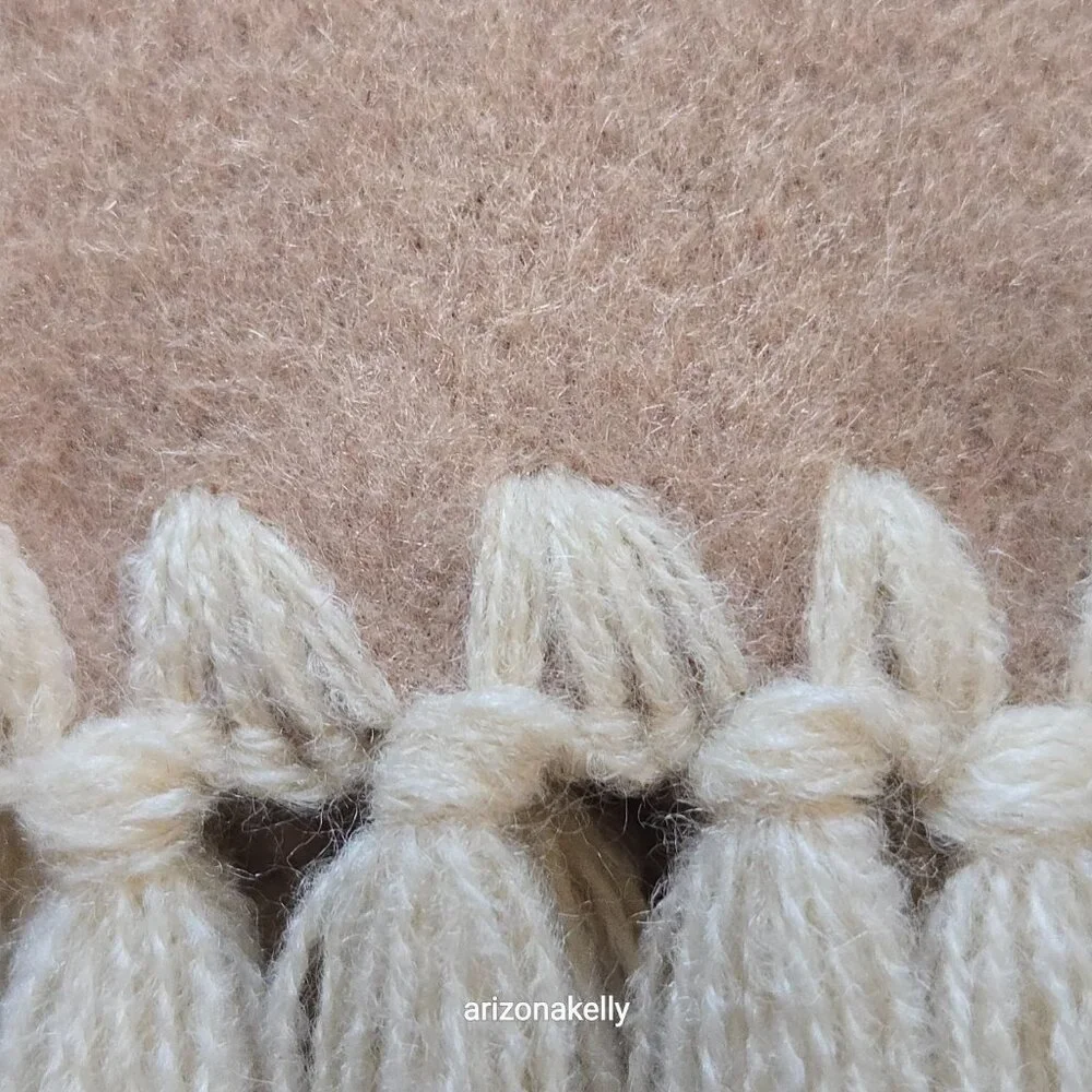 NWOT Cashmere Tan Scarf with Embroidery Detail and Fringe
